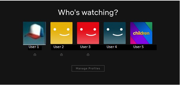 Netflix User Profiles