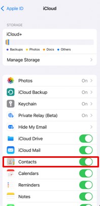 iCloud app on iPhone with contacts
