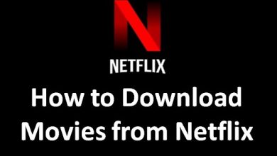 How to Download Movies from Netflix