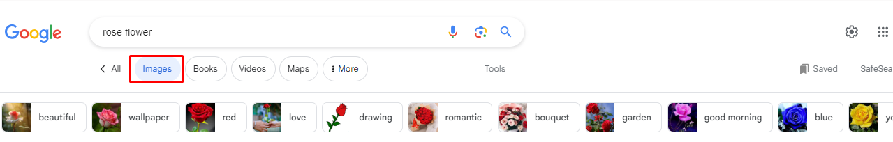 A Guide To Google Advanced Image Search step-1