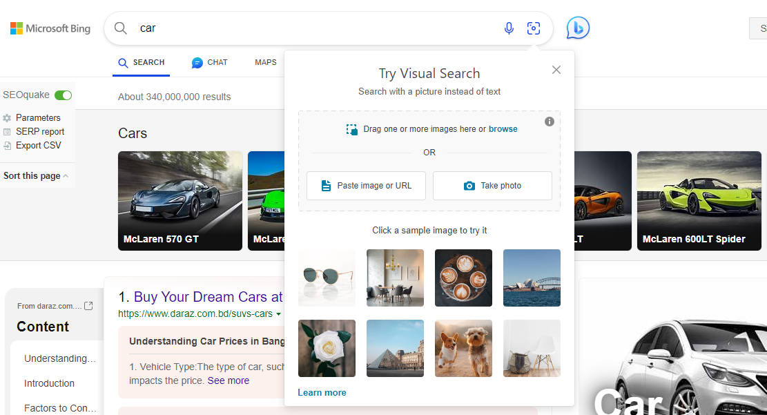 Google Reverse Image Search on Bing