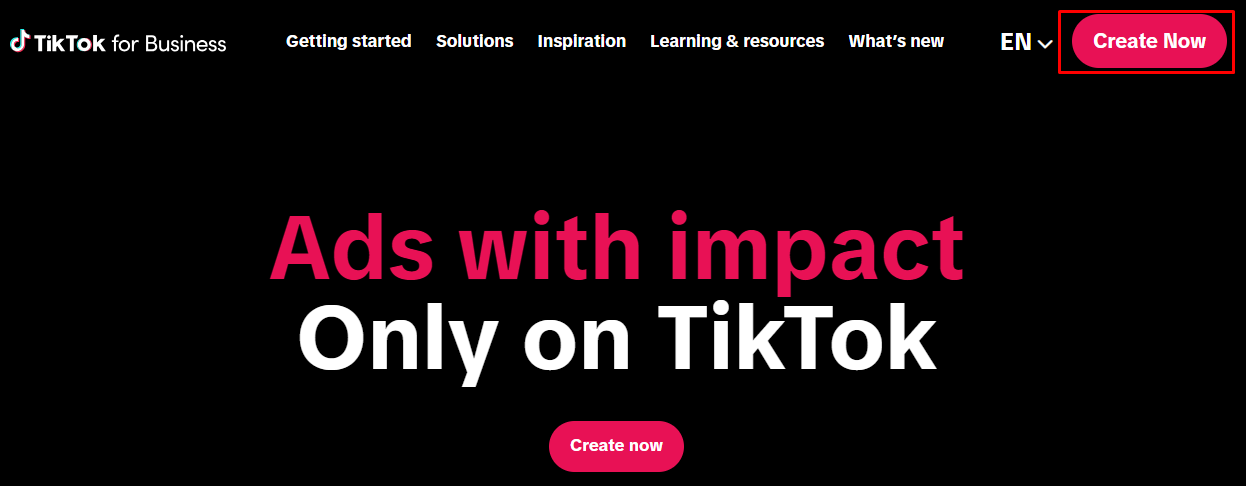 TikTok Business page